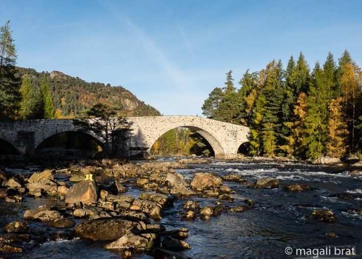 bridge 3